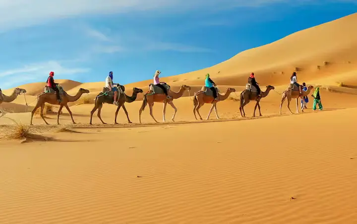 10 Best Desert Safari Packages